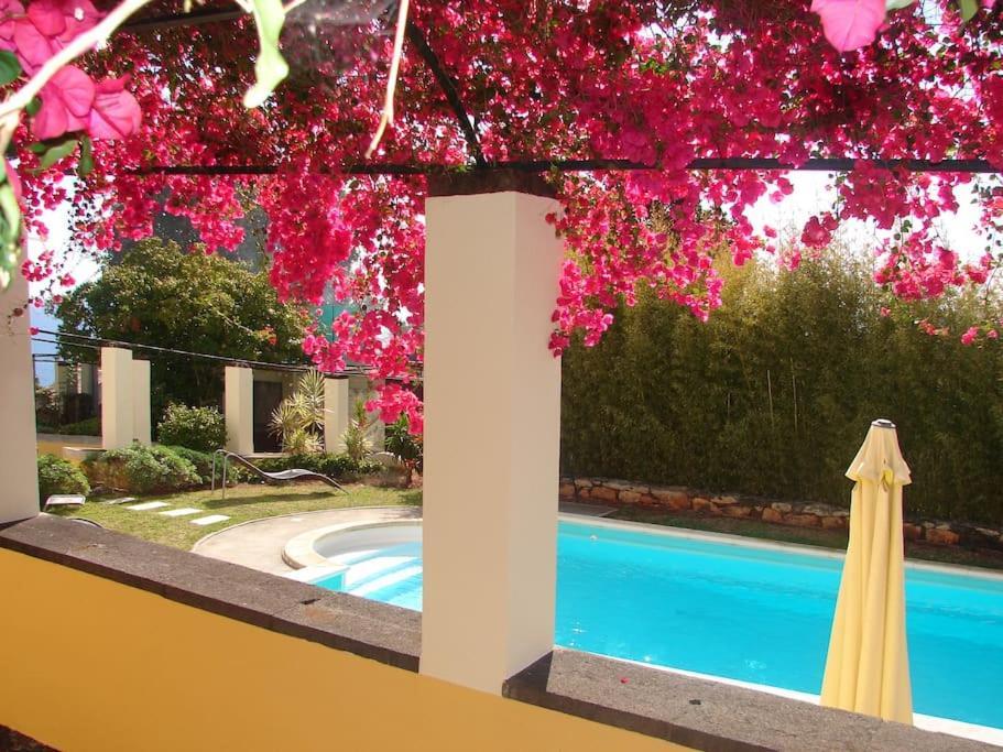 Private Pool Apt. With Great View フンシャル エクステリア 写真